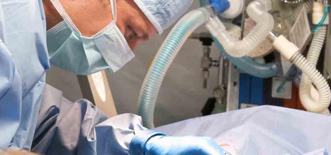 Donner son corps à la science
