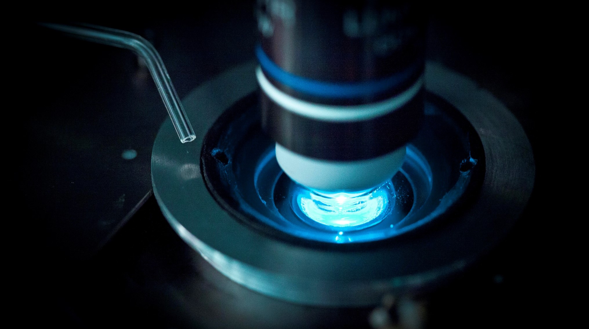 microscope2