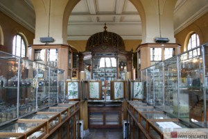 Musée Paris Descartes
