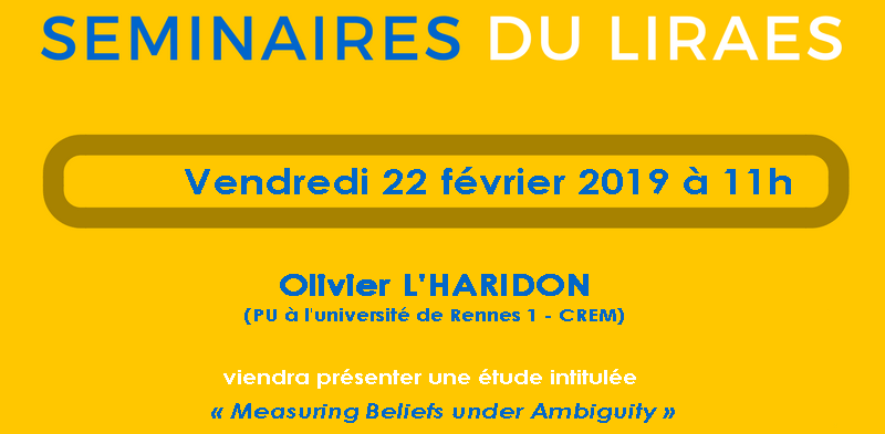 Les séminaires du LIRAES – Vendredi 22 février 2019 à 11h