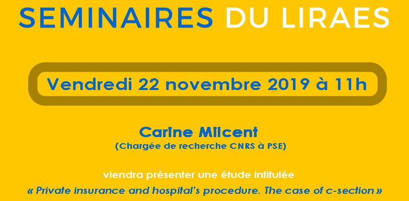 Les séminaires du LIRAES – Vendredi 22 novembre 2019 à 11h