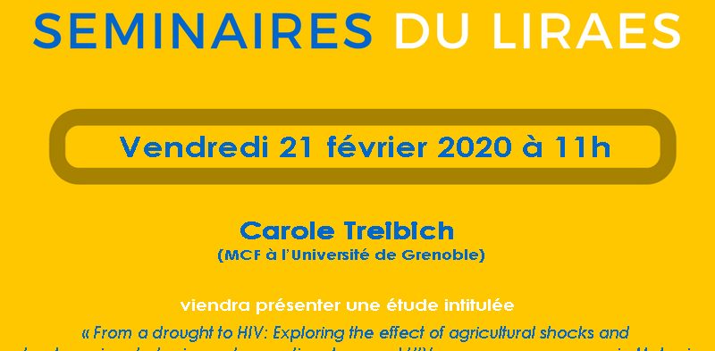 Les séminaires du LIRAES – Vendredi 21 février 2020 à 11h