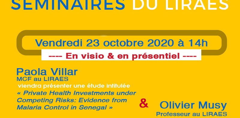 Les séminaires du LIRAES – Vendredi 23 octobre 2020 à 14h en visio et présentiel