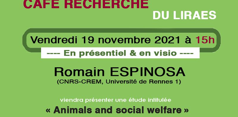 Café recherche – 19 novembre 2021 – Romain Espinosa