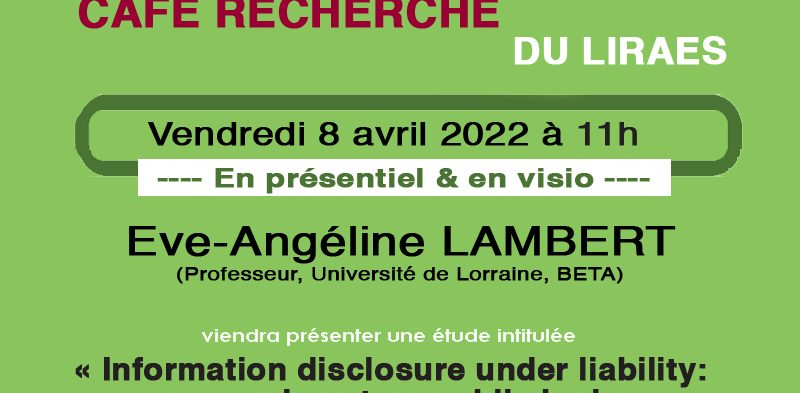 Information disclosure under liability: an experiment on public bads (8 avril 2022 – 11h)