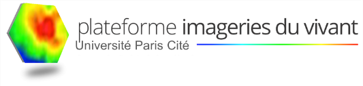Plateforme d'Imageries du Vivant Logo